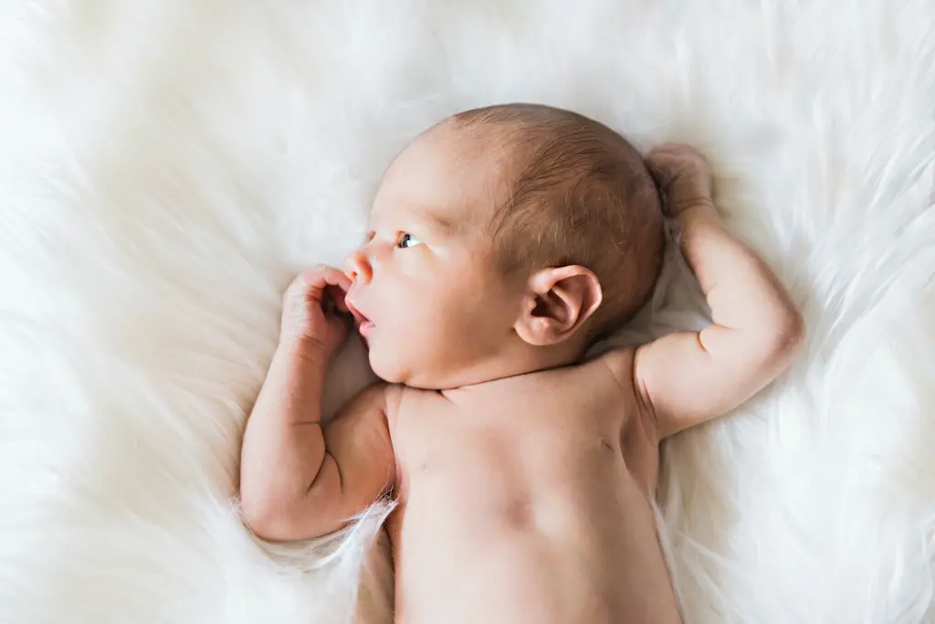 bebes_4.webp