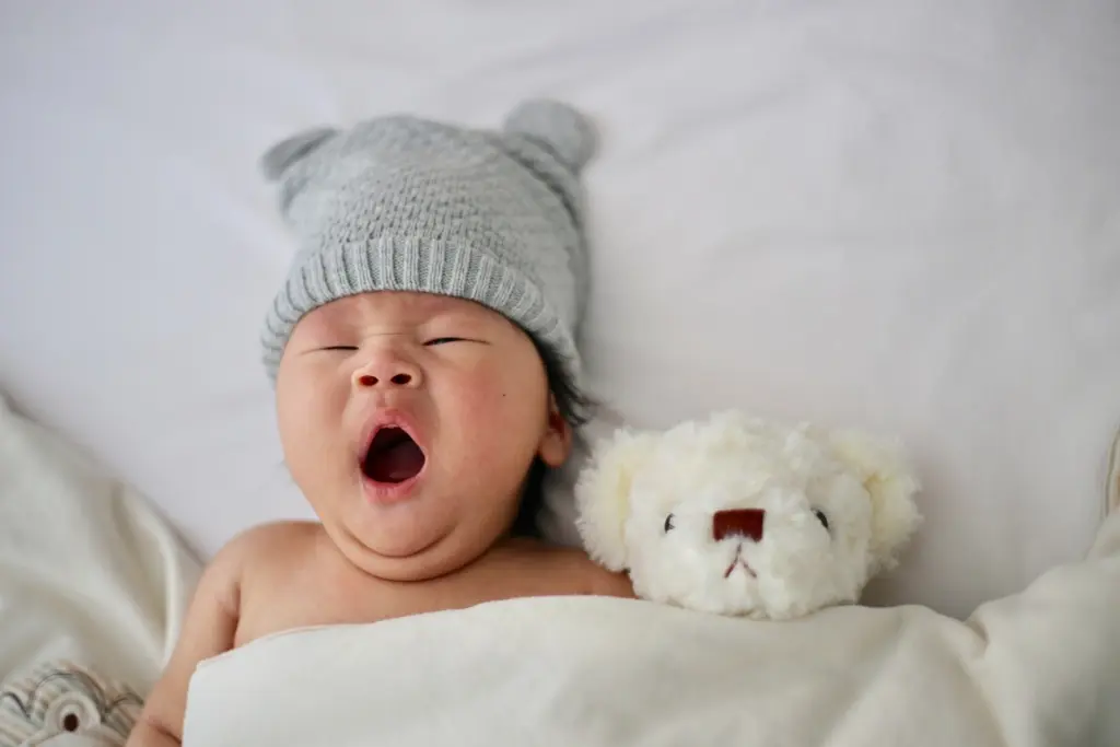 bebes_5.webp