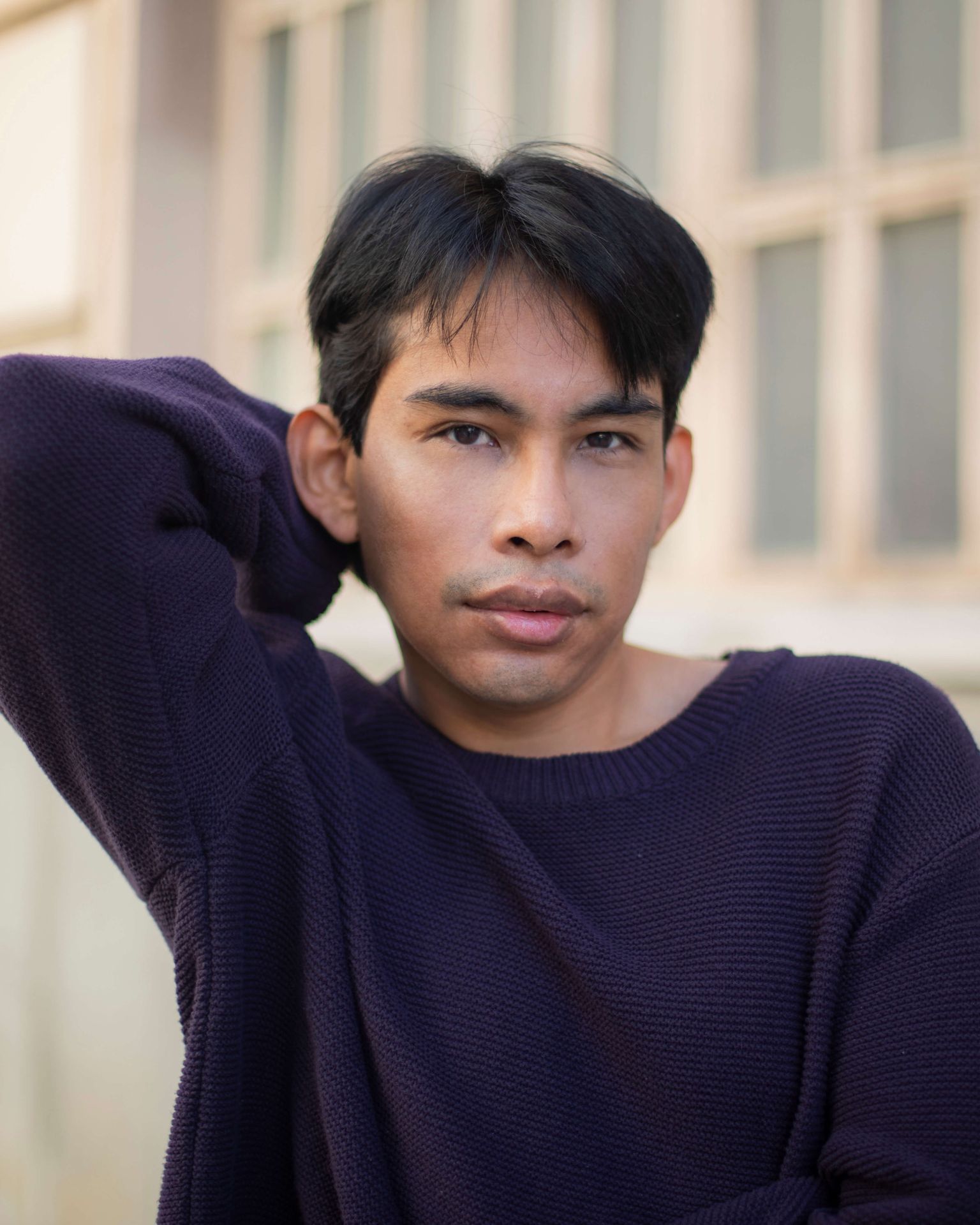 Imagen principal del modelo